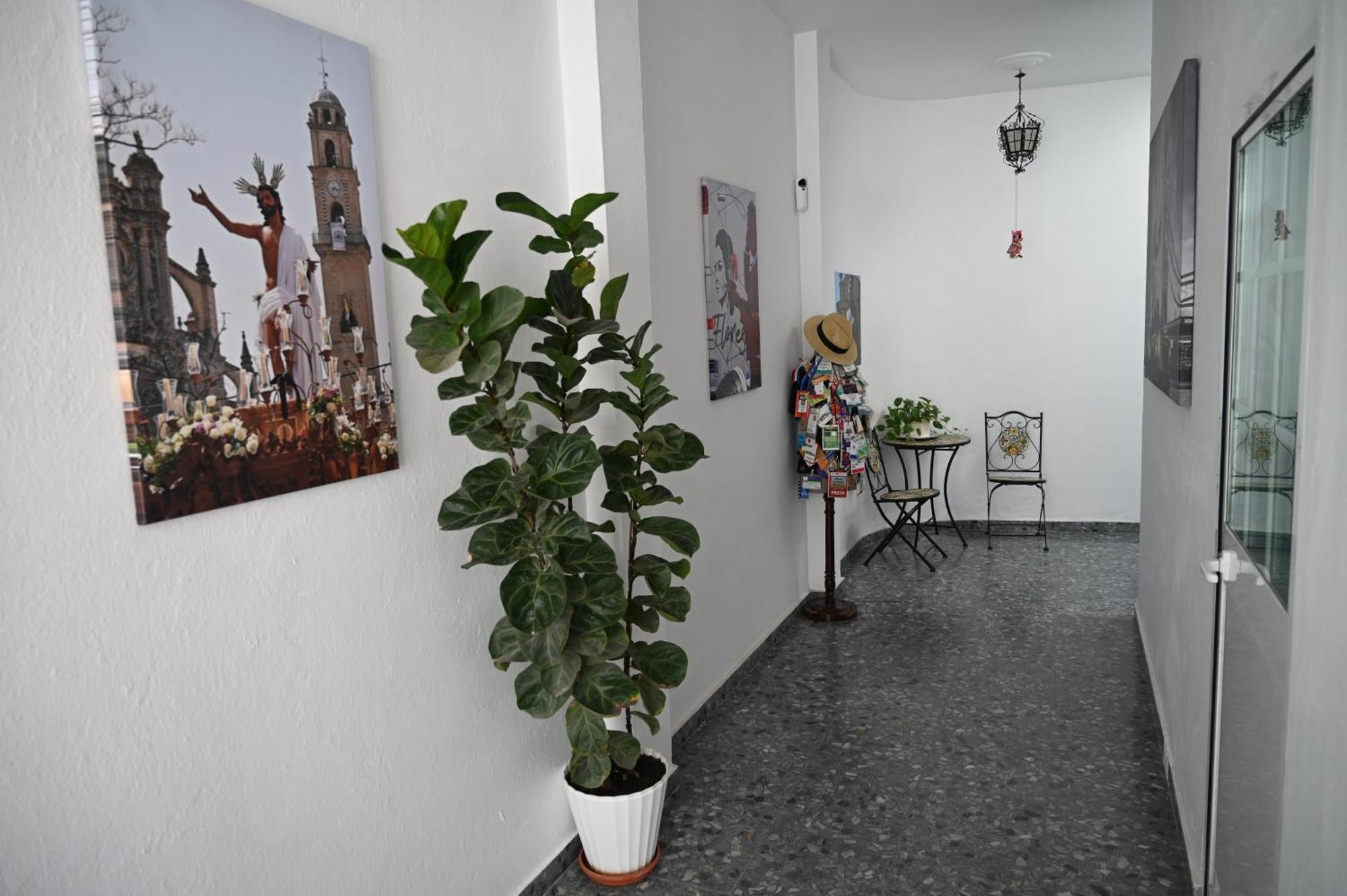 Bienvenidos A San Miguel Lejlighed Jerez de la Frontera Eksteriør billede